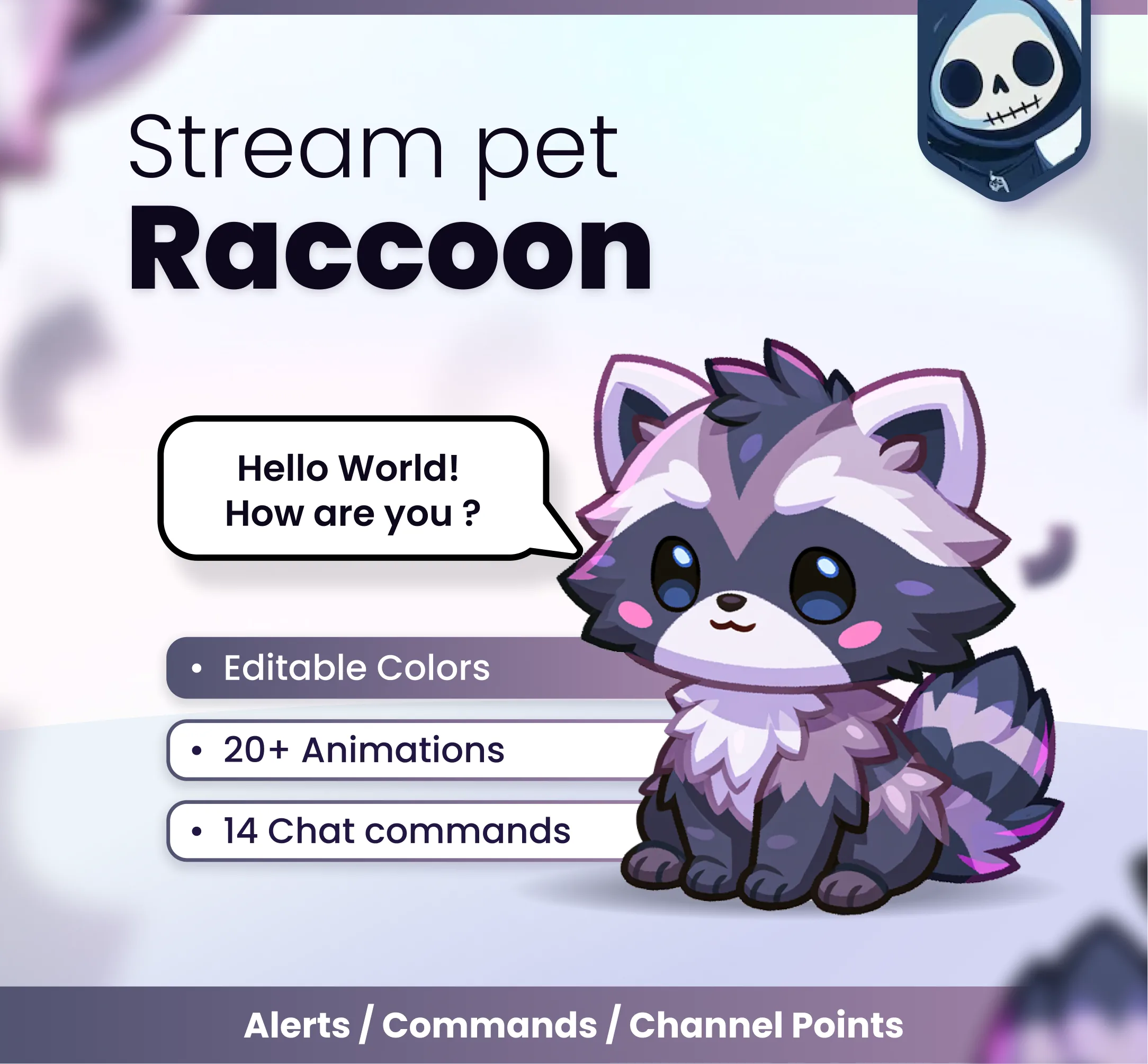 Raccoon - Product Cover | NeoStreamShop