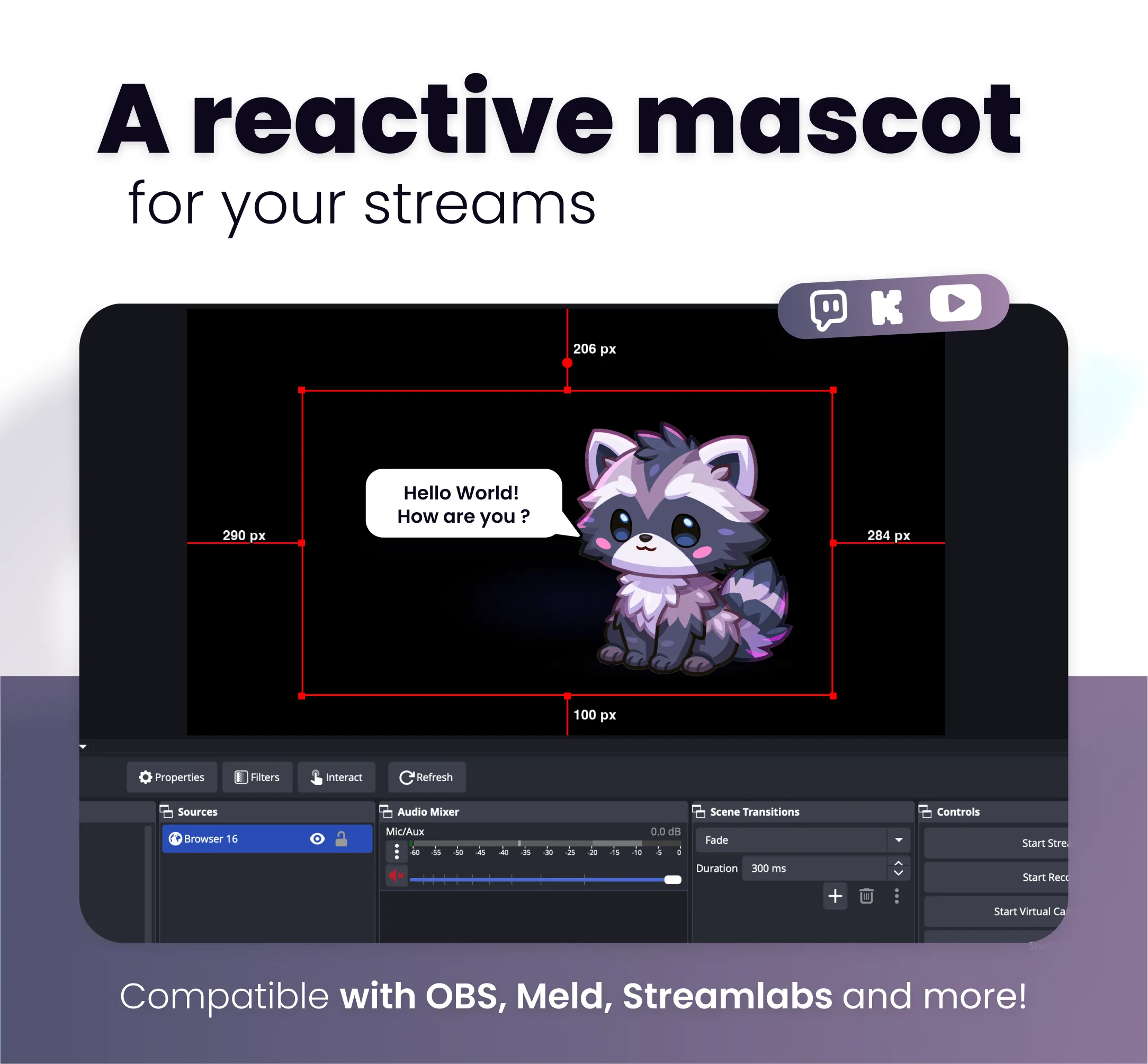 Raccoon - Preview Image 1 | NeoStreamShop